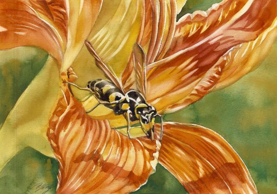 wasp in daylily