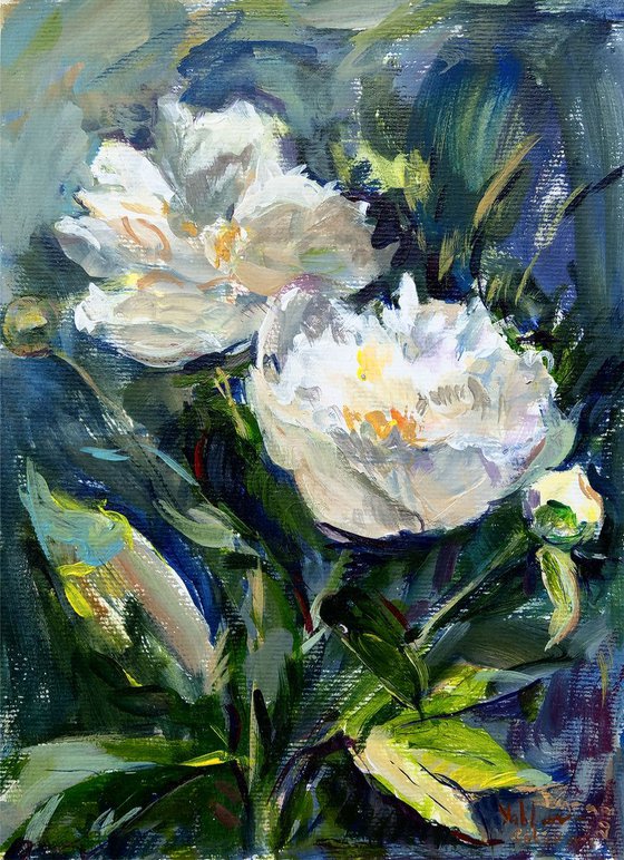 White peonies. Plant kingdom. Impressionistic painting.