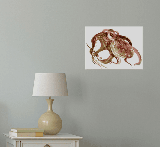 Octopus