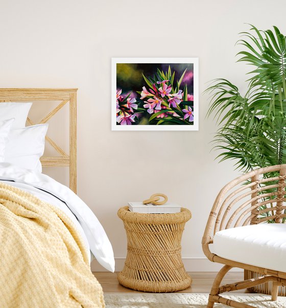 Pink oleander flowers with sunlight