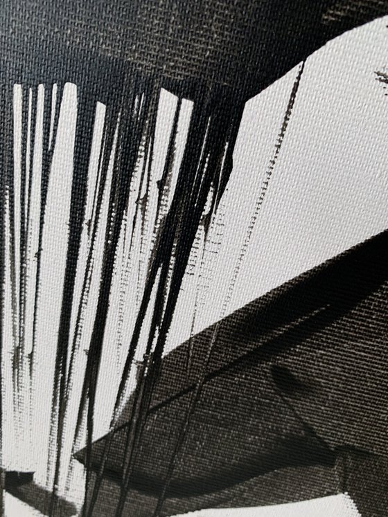 Black &amp; White. (3)