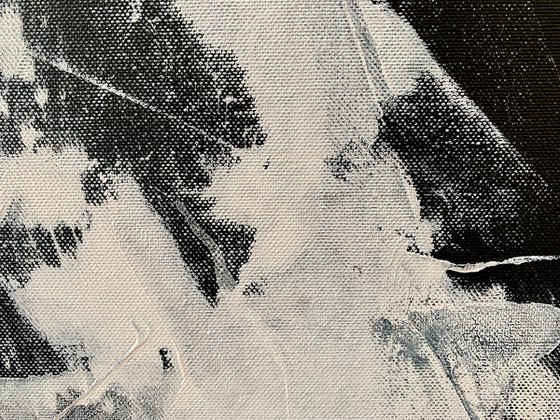 Abstract black and white 323