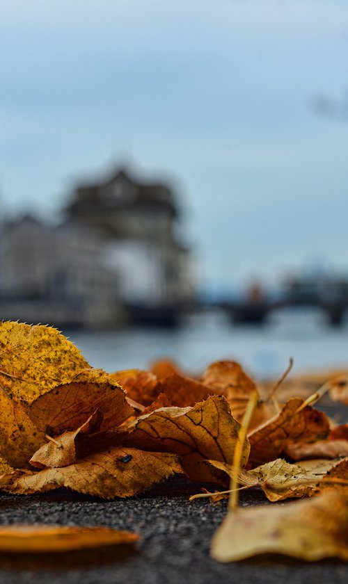 " Zürich, Switzerland. Magical Autumn "   Limited Edition 1 / 15 by Dmitry Savchenko