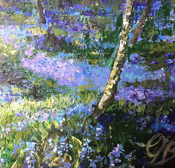 Bluebells