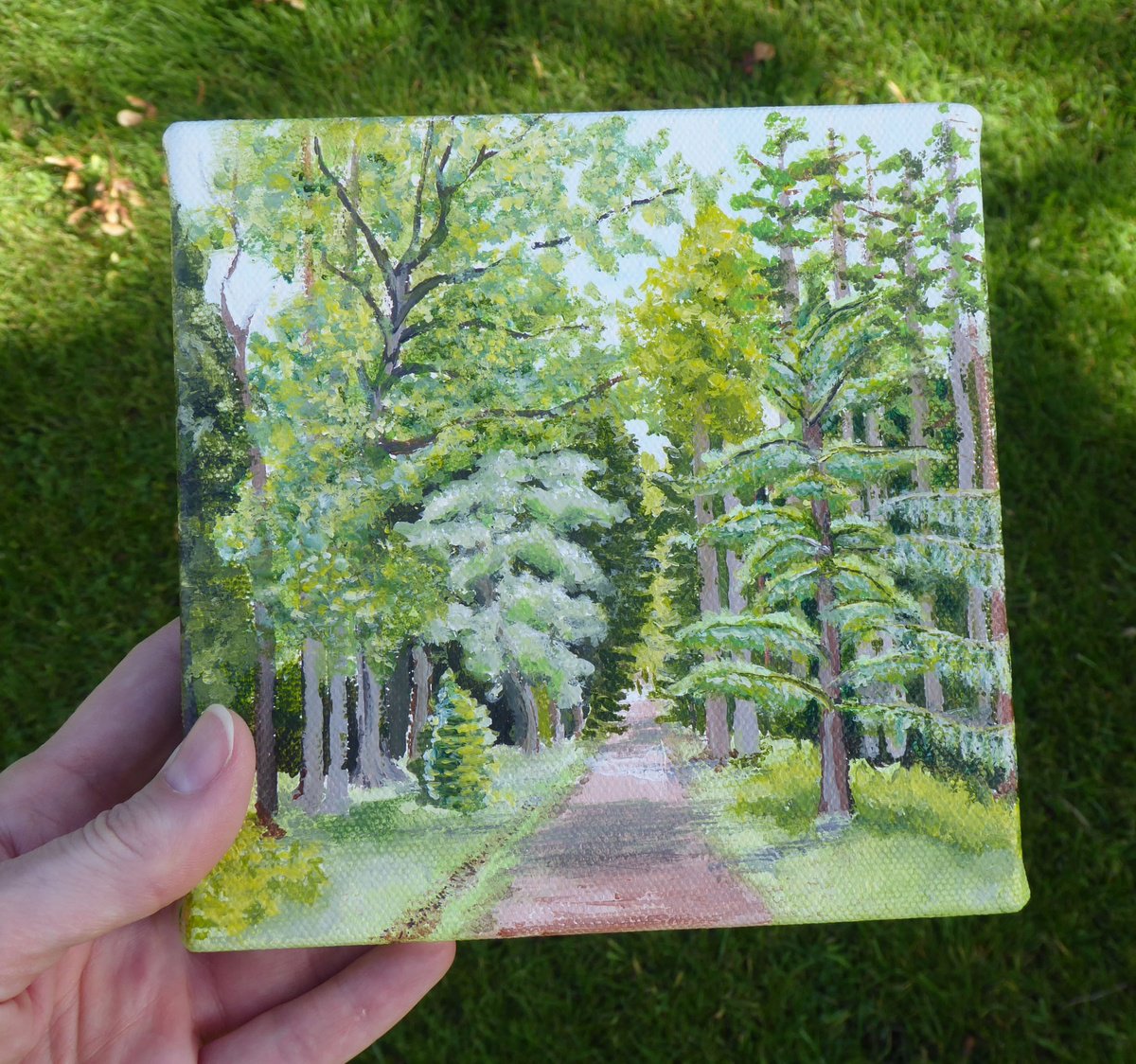 Impressionistic Landscape Acrylic Painting By Jacqueline Talbot, 6 X 6, Blackwater, The New Forest, Original Artwork