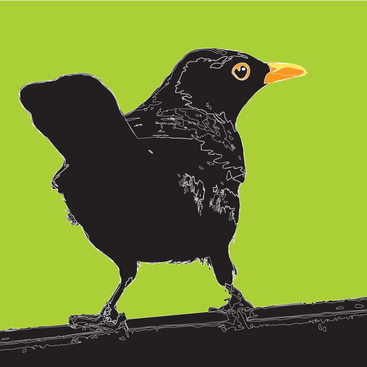 Blackbird on Fence by Keith Dodd