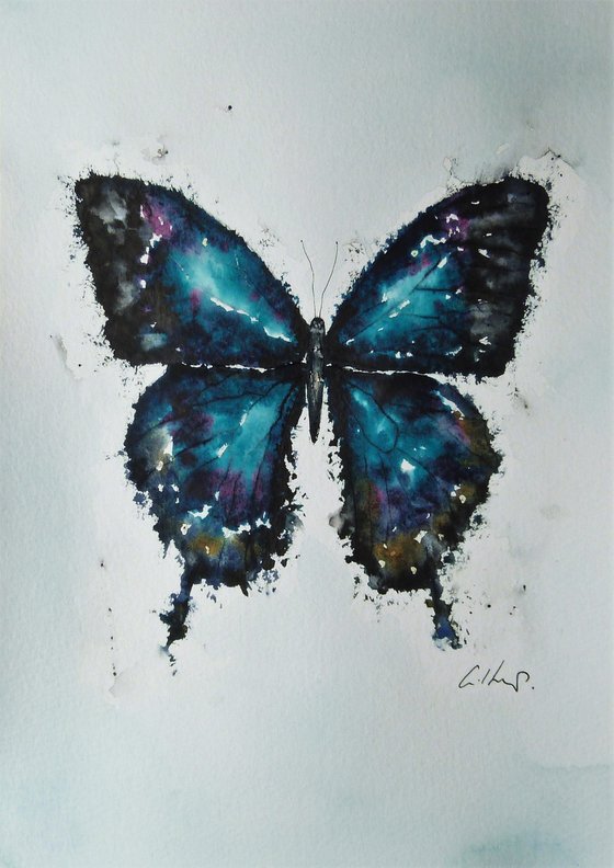 Butterfly.