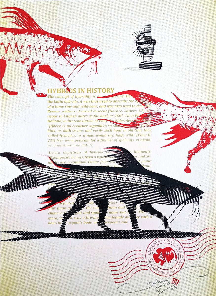 Graphic Screenprint , Fishdog By Gokhan Okur, 10 X 14, Artwork For Sale On Artfinder