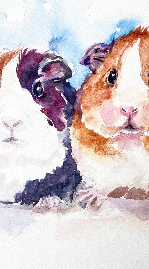 Guinea Pigs Jerry and Jo by Arti Chauhan