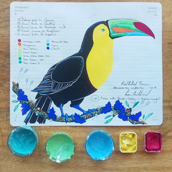 Birds of South America: Keel Billed Toucan