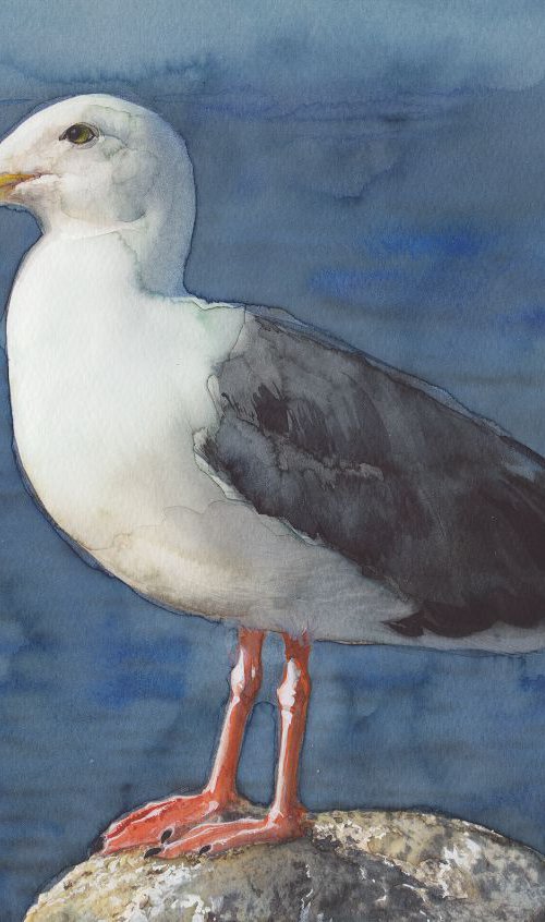 Seagull on the rock by REME Jr.