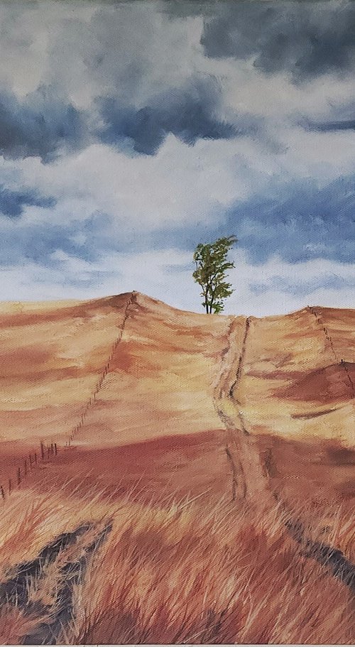 Buffalo Grass by Katrina Case