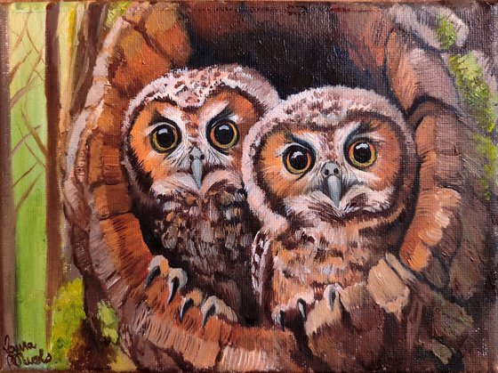 Alfred and Fred