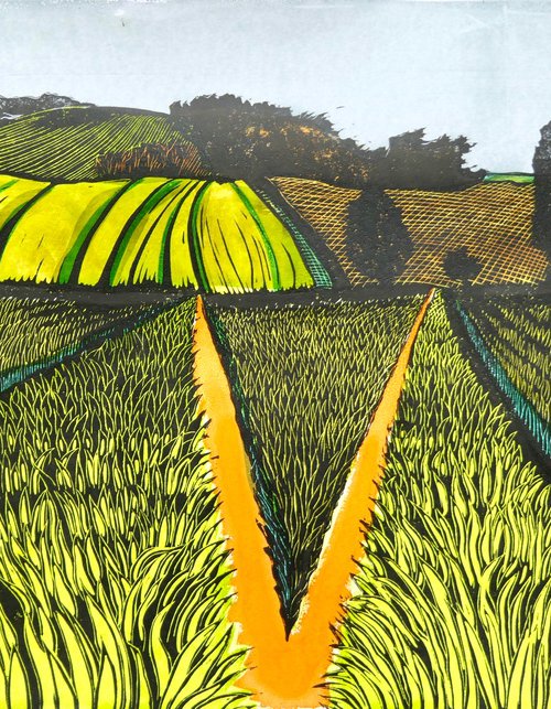 Barley above Gilling West by Keith Alexander