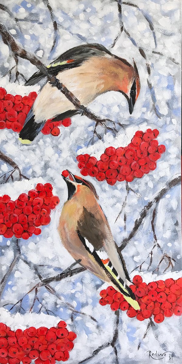 Waxwing birds in winter by Irina Redine