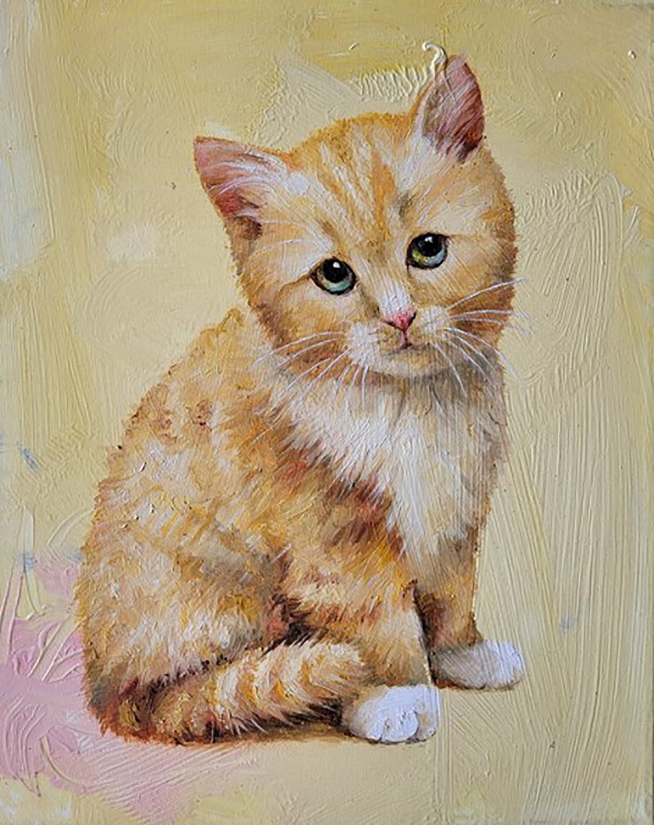 Kitten sitting in the sun by Lisa Braun