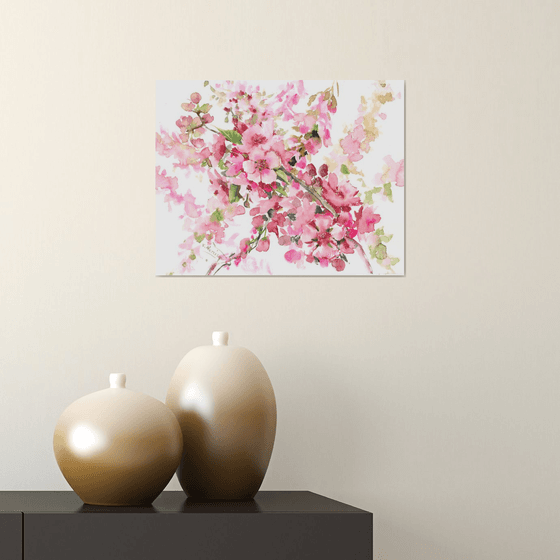 Cherry Blossom,  sakura