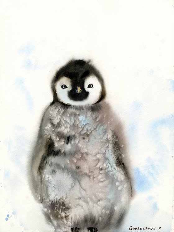 Little penguin