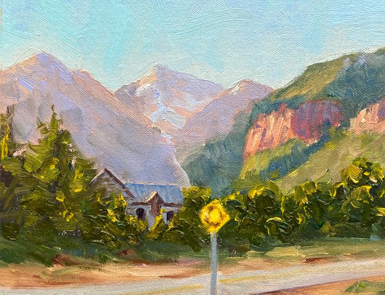 Welcome to Telluride Landscape