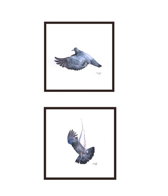 Flying Pigeons