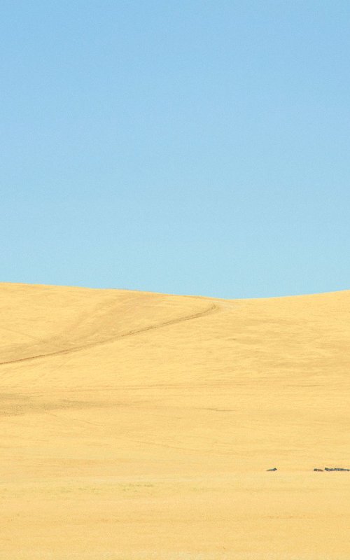 High Noon by Journey Gong