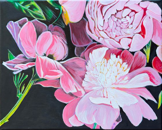 Pink Peonies on Dark Ground