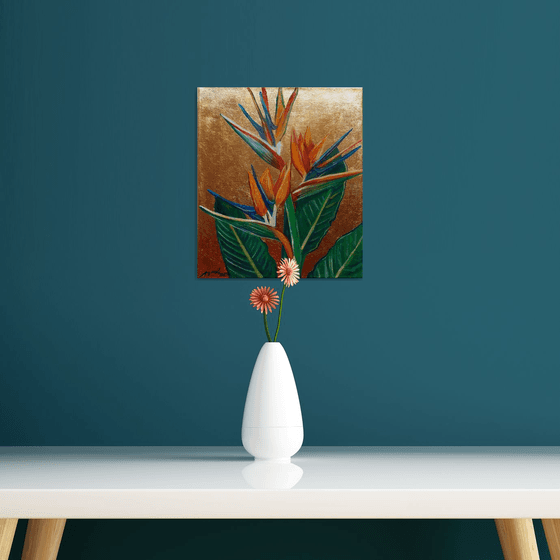 Strelitzia - Bird of Paradise Flower