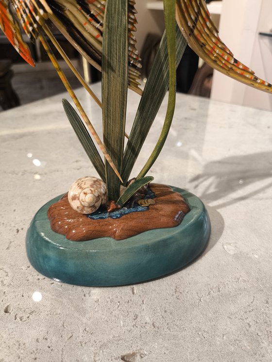 Coral Reef Angel