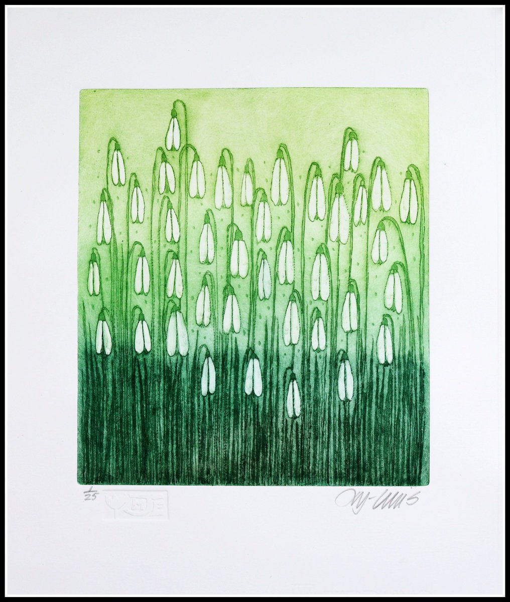 Botanical Etchings & Engravings By Mariann Johansen-Ellis, 12 X 14", Snowdrops, Spring Flowers, Original Artwork