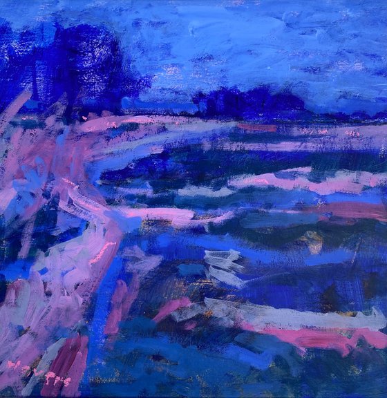 Walking in the Dimity