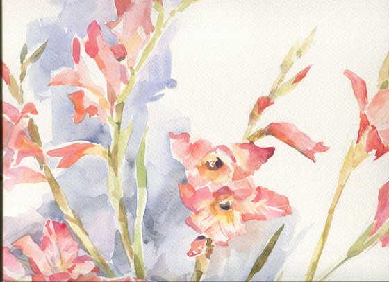 Pink glads / ORIGINAL watercolor ~20x14in (50x35cm)