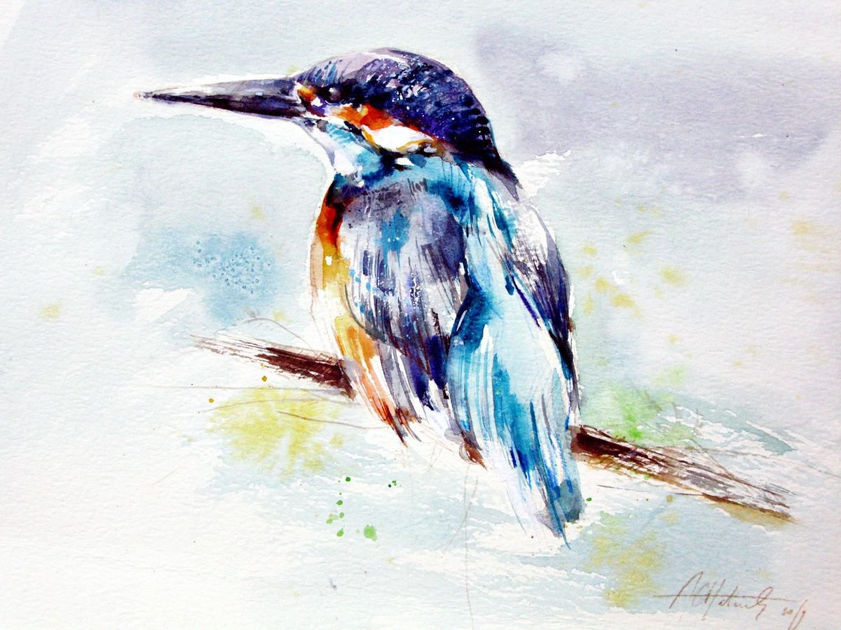Kingfisher A3 by Anna Maria