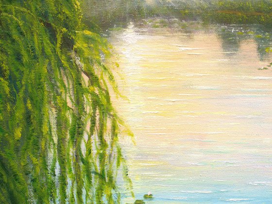 Serene lily pond