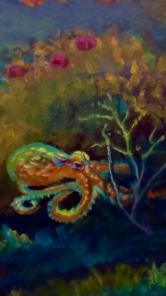 Pacific Reef