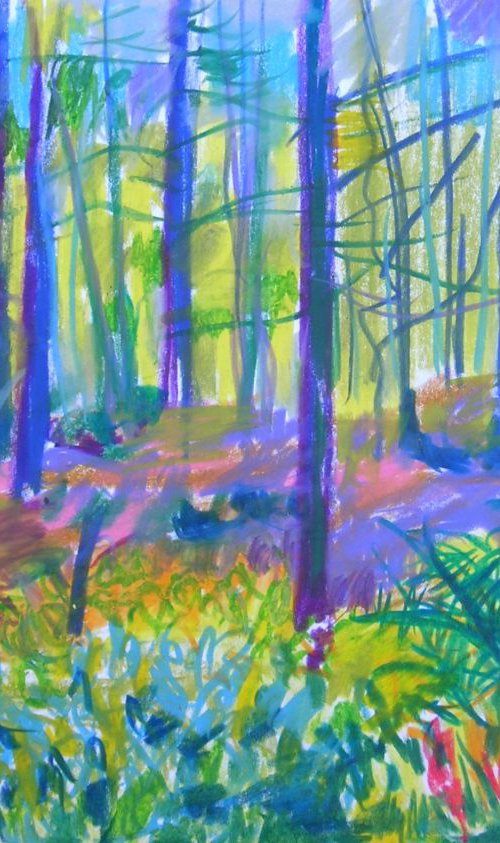 Into the woods by Maja Grecic
