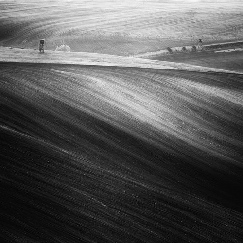 Moravian fields by Tomasz Grzyb