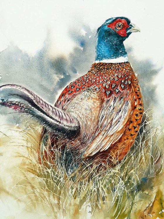 Beaumont the Pheasant