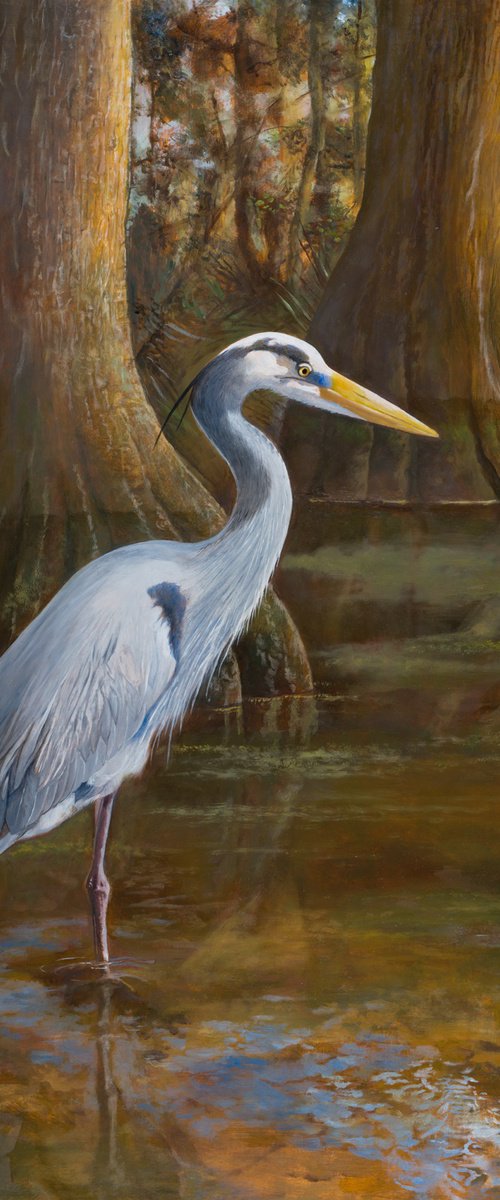 "Great Blue Heron in Cypress Swamp" by John Harne