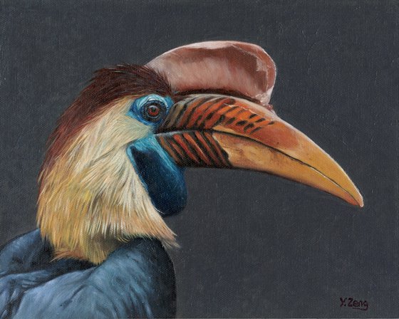 Hornbill bird