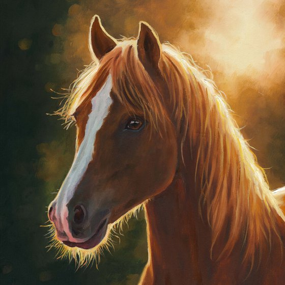 Brown horse portrait at sunset