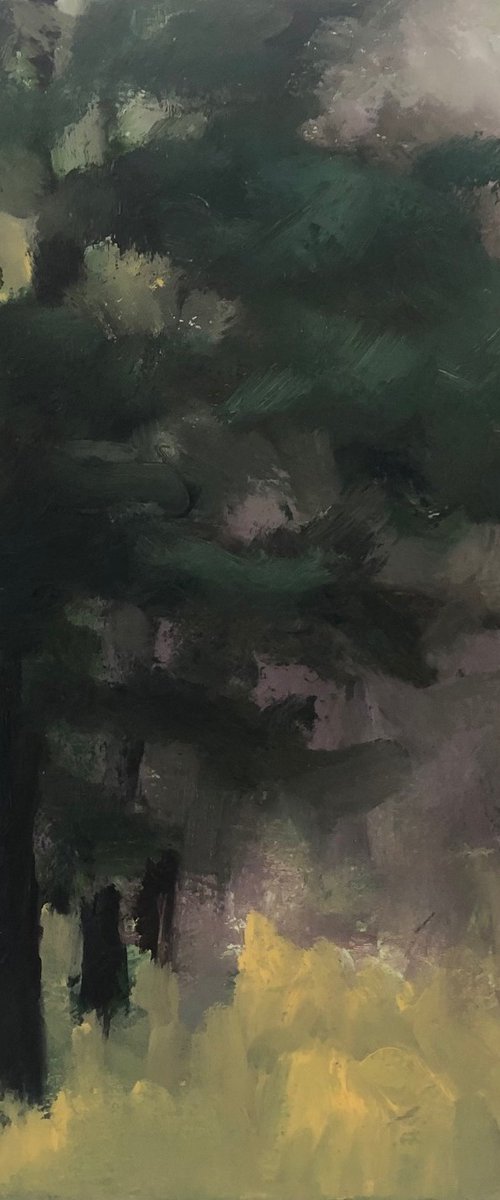 Fleeting Light by Joanna Farrow