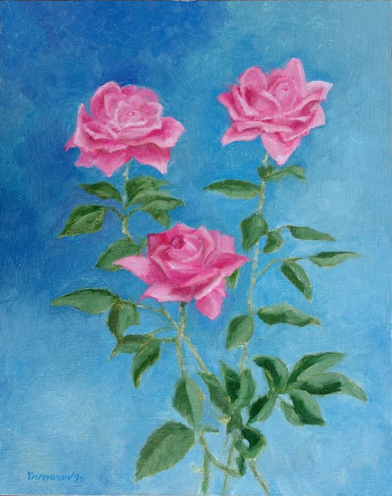 My Garden Roses 6