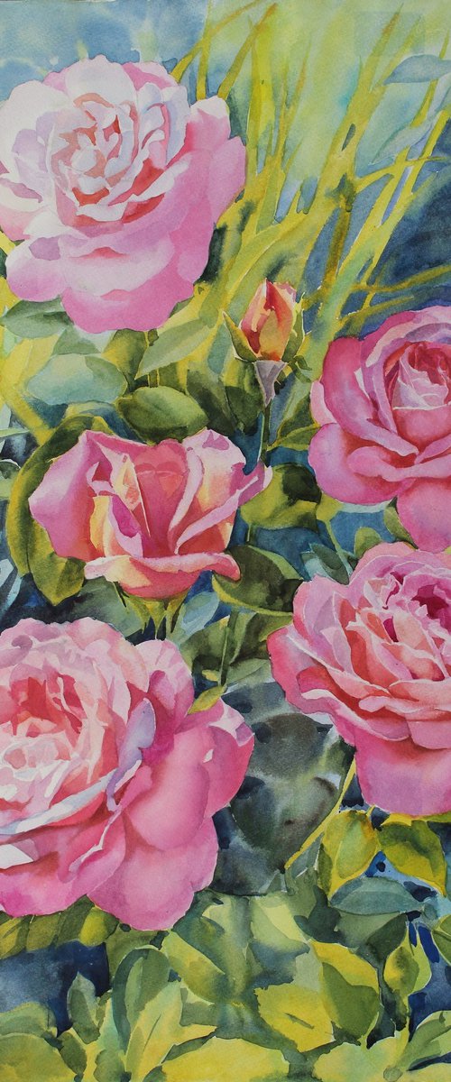 Pink roses by Yurii Pashkov