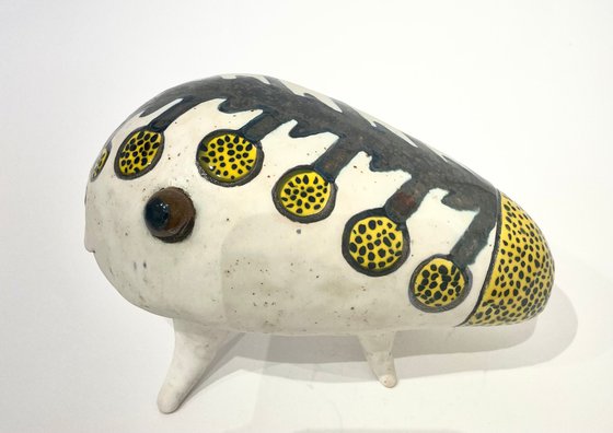 Hilarious Salamander
