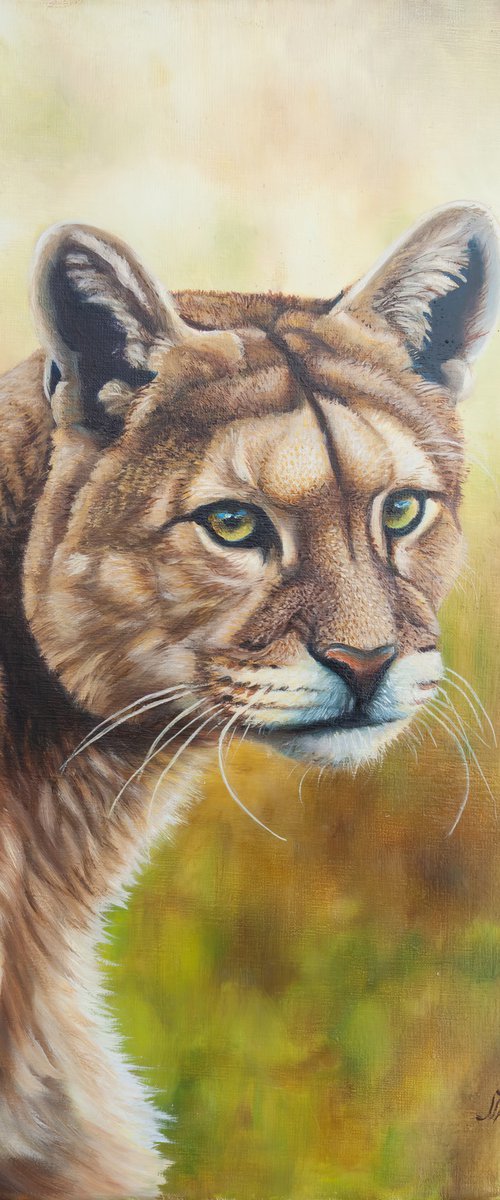 Wild Majesty by Norma Beatriz Zaro