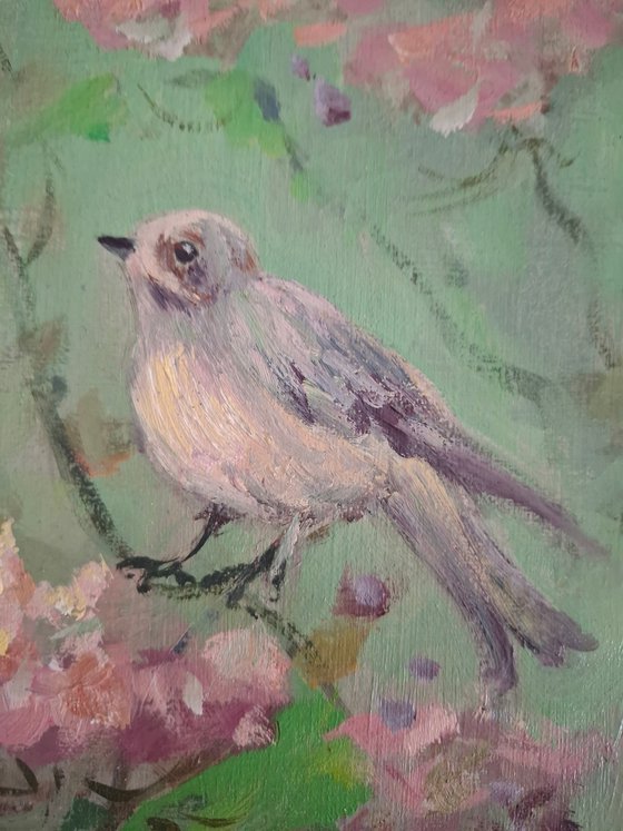 A Bird in a Blooming tree