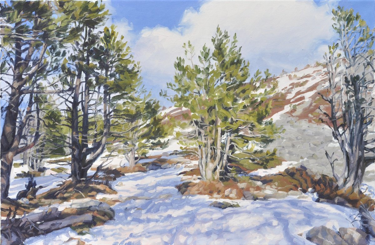 Pines On Snowy Mount Mezenc By Anne Baudequin, 36 X 24, Artwork For Sale On Artfinder