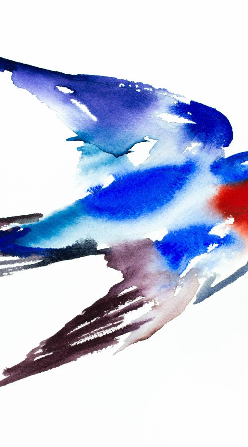 Swallow No. 29 by Elizabeth Becker
