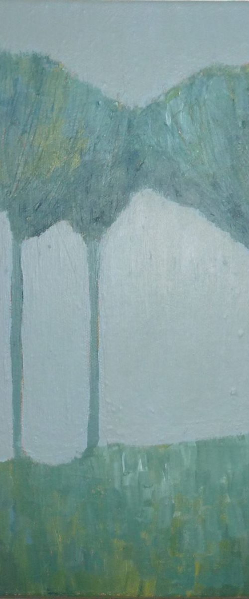 Twelve Tall Trees by Fiona Philipps