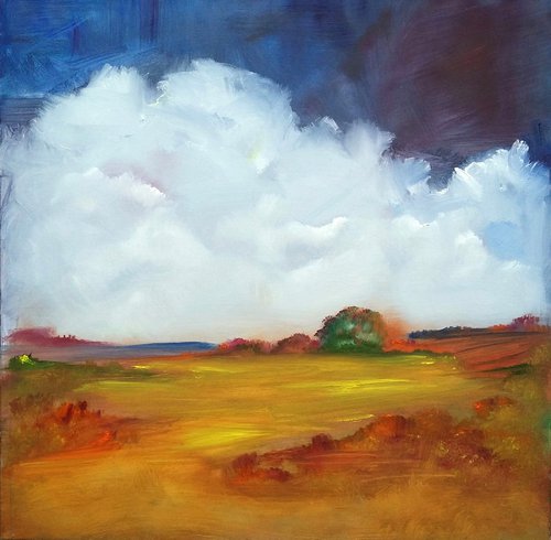 A View of Summer Fields by Kevin Blake